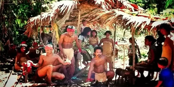 Suku Togutil – Mengenal Lebih Dekat Suku Di Indonesia